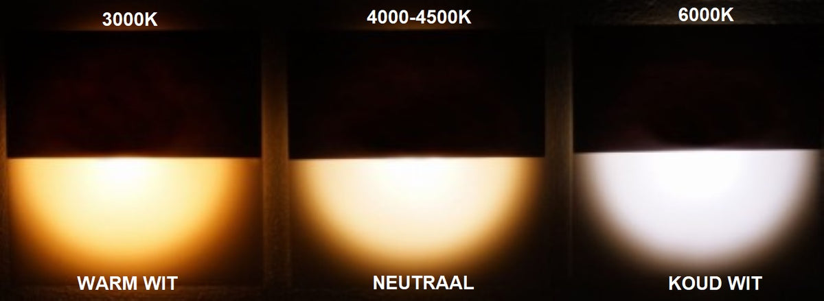 Skinder Electric Q2 LED Trapverlichting - Wandverlichting - 230V (Geen Trafo) - 50mm Diepte - Inbouwspot - Keuze uit 3 Lichtkleuren