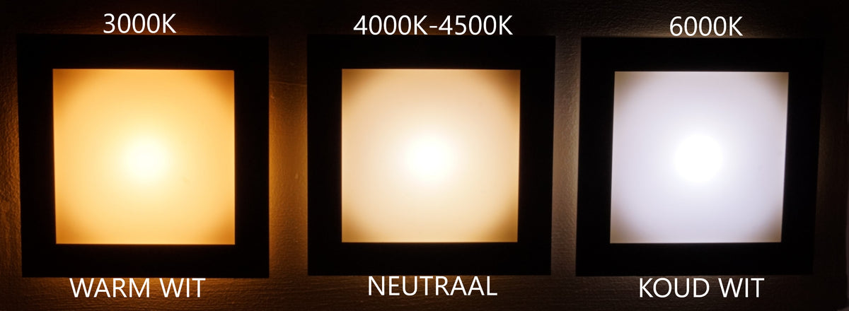 Skinder Electric Q1 LED Trapverlichting - Wandverlichting - 230V (Geen Trafo) - 50mm Diepte - Inbouwspot - Keuze uit 3 Lichtkleuren